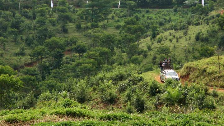 Pendapat HuMa pada Polemik Kawasan Hutan dengan Pengelolaan Khusus di Hutan Jawa
